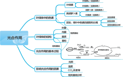 生物大牛出手,還不趕緊得A+