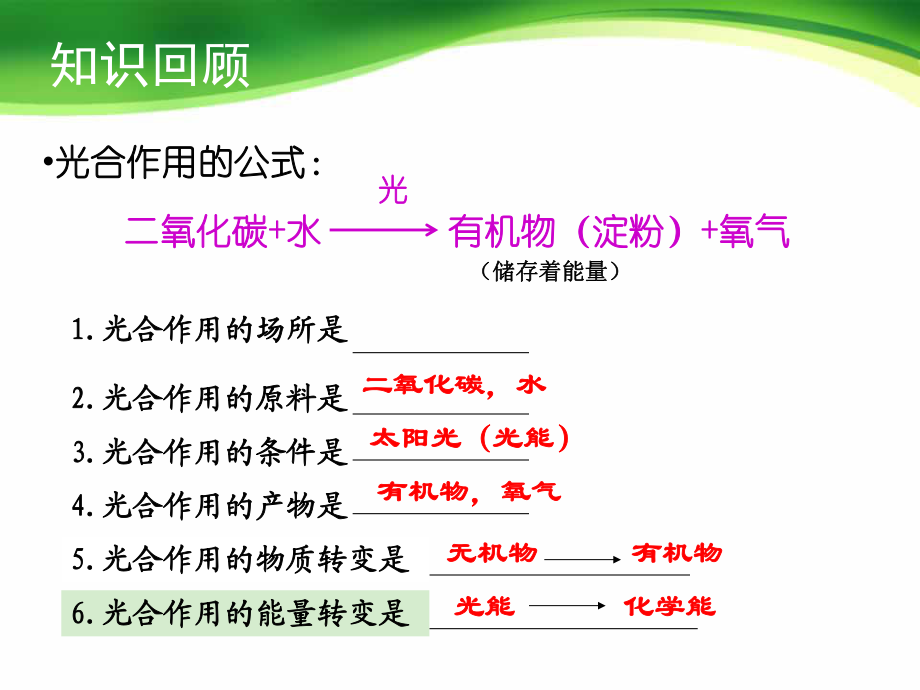 22綠色植物的呼吸作用