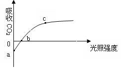14分 某研究者利用栽在花盆中的植物,對植物的光合作用與呼吸作用進(jìn)行了相關(guān)的研究,圖甲表示此盆綠色植物在兩種不同溫度下釋放氧氣的快慢與光照強度的關(guān)系,圖乙是測定圖甲縱坐標(biāo)上