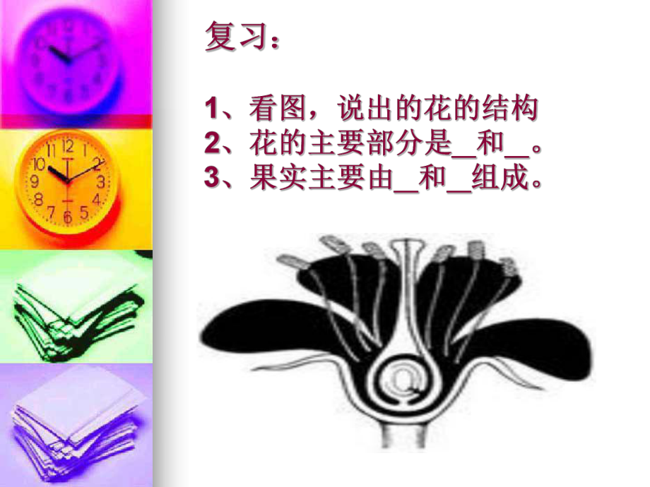 蘇教版61 植物光合作用的發(fā)現(xiàn)