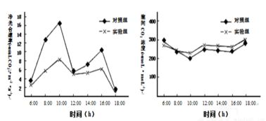 為了研究葉肉細(xì)胞間隙的c02濃度對光合作用的影響.研究人員將若干新鮮的某種植物葉片置于適宜的光照和溫度條件下的實(shí)驗(yàn)裝置中.測定在不同的細(xì)胞間隙c02濃度條件下葉肉細(xì)胞中