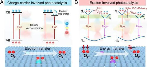 光合作用竟然發(fā)生在短短的億萬分之一秒,蘊(yùn)藏著深刻宇宙奧秘