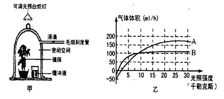 下圖為在一定條件下研究光照強(qiáng)度對植物光合作用的影響的變化曲線,回答下列問題 青夏教育精英家教網(wǎng)