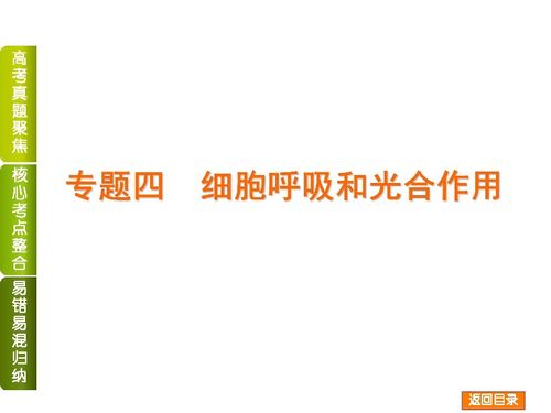 2014屆高考生物二輪復(fù)習(xí) 細(xì)胞呼吸和光合作用專題精講