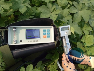 光合作用測定儀 助力植物光合效率研究的先進(jìn)工具