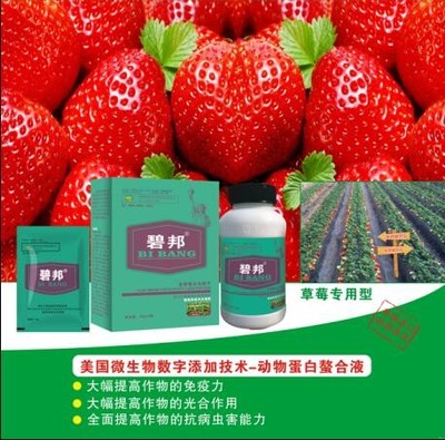 山東莘縣進(jìn)口葉面肥和沖施肥經(jīng)銷(xiāo)商 光合作用在農(nóng)業(yè)增產(chǎn)中的關(guān)鍵作用