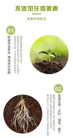 青菜專(zhuān)用葉綠素葉面肥 提升光合作用，強(qiáng)健植株的全方位解決方案