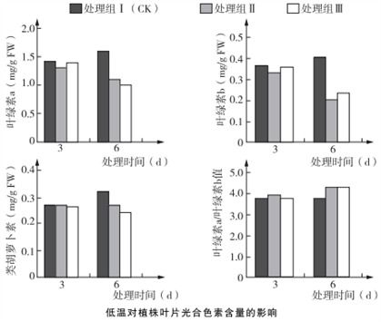 光合作用暗反應(yīng)階段對(duì)光的間接依賴(lài)性探究